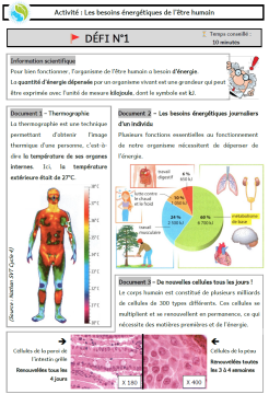 C4A1 - Besoins énergétiques être humain - Doc1