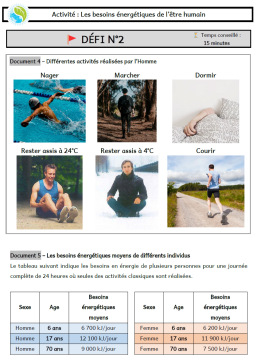 C4A1 - Besoins énergétiques être humain - Doc2