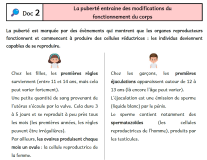 C5A8 - Les transformations liées à la puberté - Document 2