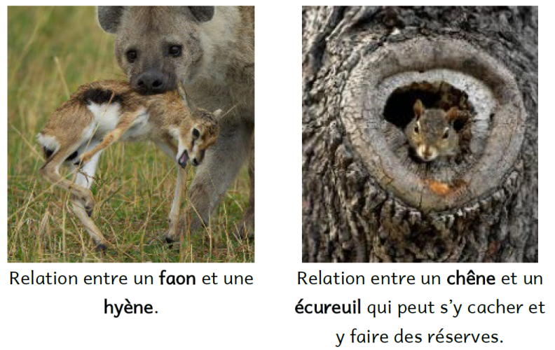 C1A3 - Etude de quelques relations V2 - Photos 1